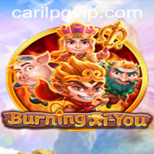 Exploring the New Phenomenon: BurningXiYou